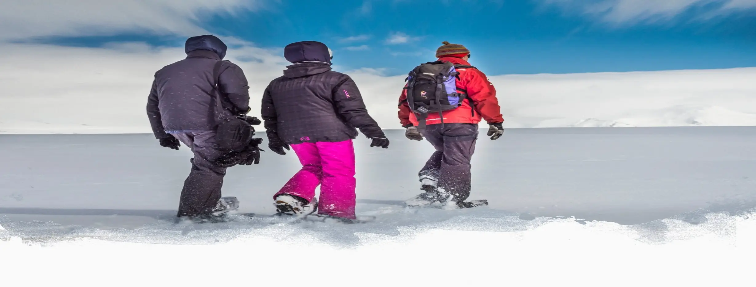 Image for Snowshoeing Expedition